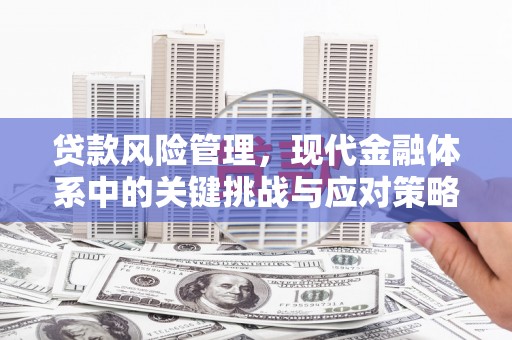 湖口贷款风险管理，现代金融体系中的关键挑战与应对策略