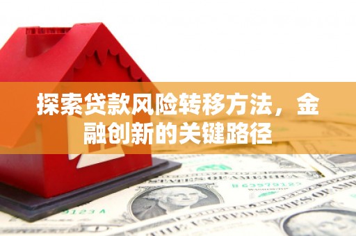 湖口探索贷款风险转移方法，金融创新的关键路径