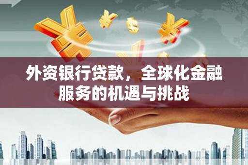 湖口外资银行贷款，全球化金融服务的机遇与挑战