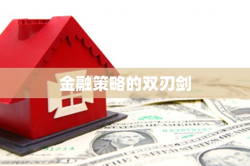 湖口金融策略的双刃剑