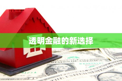 湖口透明金融的新选择