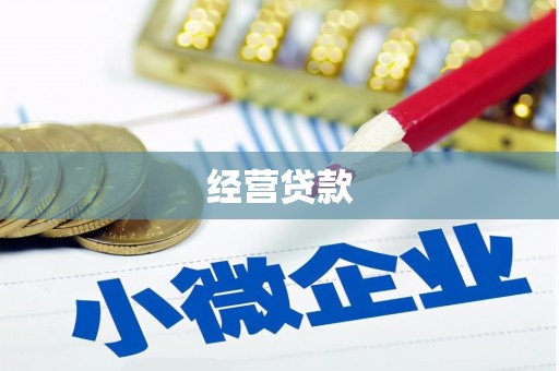 湖口经营贷款