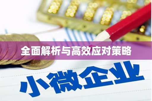 湖口全面解析与高效应对策略