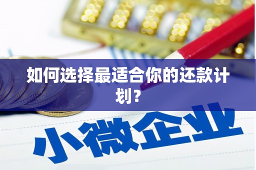 湖口如何选择最适合你的还款计划？