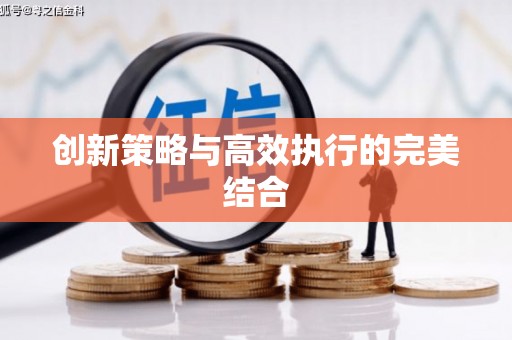 湖口创新策略与高效执行的完美结合