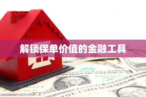 湖口解锁保单价值的金融工具