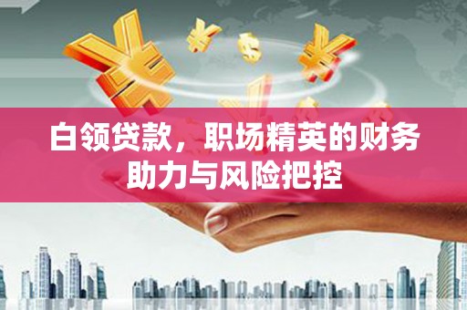 湖口白领贷款，职场精英的财务助力与风险把控